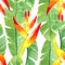 Tropical seamless pattern with strelitzia. watercolor design