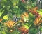 Tropical seamless pattern with succulents, tropical leaves.