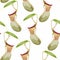 Tropical seamless pattern. Summer print. Jungle rainforest. Nepenthes, genus of carnivorous plants.