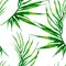 Tropical seamless pattern. Watercolor curved palm