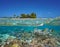 Tropical seascape coastline coral reef with turtle