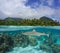 Tropical seascape coastline with shark underwater