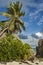 Tropical seascape, palm tree, rocks against the blue sky