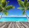 Tropical Seascape With Wooden Plank And Palm Trees On The Turquoise Ocean