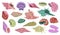 Tropical seashell. Beach color shells, underwater mineral elements, patterned reef objects different shapes, oyster with