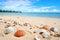 tropical seashells scattered on sandy beach