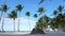 Tropical seashore with coconut palm trees. Caribbean destination. Dominican Republic