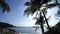 Tropical seashore with coconut palm trees, travel destinations Phuket island