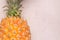 Tropical and Seasonal Summer Fruits. closeup pineapple with blank space backgrounds, Healthy Lifestyle. Flat Lay