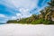 Tropical secluded sandy beach with coconut palm trees. Blue sky with white clouds above