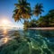 Tropical Serenity: Majestic Palm Trees and Turquoise Waters at Sunrise
