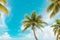 Tropical Serenity: Vintage Palm Trees and Blue Sky View from Below.