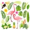 Tropical set. Palm leaves, tropical plants, flowers, pineapple, flamingo, toucan.