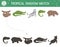 Tropical shadow matching activity for children. Preschool jungle puzzle. Cute exotic educational riddle. Find the correct tropic