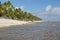 Tropical shore with rocks and coconut trees