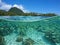 Tropical shore split with fish school underwater