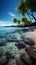 Tropical shoreline Sandy beach framed by graceful palm trees under blue skies