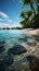 Tropical shoreline Sandy beach framed by graceful palm trees under blue skies