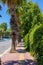 Tropical sidewalk. Walk through the resort area during the heat of the day. Palm trees along the road and green vine along the