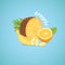 Tropical sliced fruits isolated vector illustration