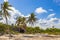 Tropical sloping palm trees blue sky Playa del Carmen Mexico