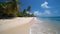 Tropical solitude, captivating sandy beach, peaceful surroundings, and tranquil seclusion