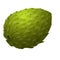 Tropical soursop icon cartoon vector. Graviola juice