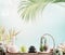 Tropical SPA background with wellness equipment, massage tools , towels and succulent plants at blue sky background with hanging