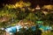Tropical spa resort. Night landscape.