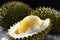 Tropical spiky durian fruit background. Generate ai