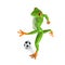 Tropical sport frog