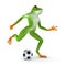 Tropical sport frog