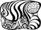 Tropical square fish coloring page. Black and white. Underwater world. Anti-stress coloring for adult and children