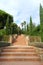 Tropical stairs with palm trees