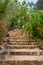 Tropical stairs with palm trees