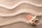 A tropical starfish and sea shells laying in the beach sand