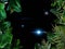 Tropical starry night  and moon  plant leaves ,view on  clear  bright blue  nebura dark  star flares  background copy space templa