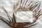 Tropical stationery still life. Closeup of blank card mock-up and craft envelope in sunlight. Dry palm leaf , white