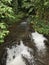 Tropical stream in Hawaii