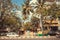 Tropical street with palm trees and autos on busy road