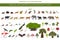 Tropical and subtropical dry broadleaf forest biome, natural region infographic. Seasonal forests. Animals, birds and vegetations