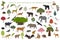 Tropical and subtropical dry broadleaf forest biome, natural region infographic. Seasonal forests. Animals, birds and vegetations