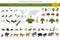 Tropical and subtropical dry broadleaf forest biome, natural region infographic. Seasonal forests. Animals, birds and vegetations