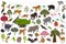 Tropical and subtropical dry broadleaf forest biome, natural region infographic. Seasonal forests. Animals, birds and vegetations