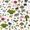 Tropical and subtropical dry broadleaf forest biome, natural region seamless pattern. Seasonal forests. Animals, birds and