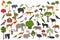 Tropical and subtropical rainforest biome, natural region infographic. Amazonian, African, asian, australian rainforests. Animals