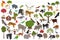 Tropical and subtropical rainforest biome, natural region infographic. Amazonian, African, asian, australian rainforests. Animals