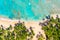 Tropical summer beach with coconut palm trees background. Aerial drone idyllic turquoise sea vacation background. Dominican