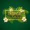 Tropical summer design poster template. Summer vacation with leafs and flowers. Jungle paradise