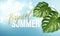 Tropical summer lettering on the background from Realistic bright green leaves of monstera. Vector illustration